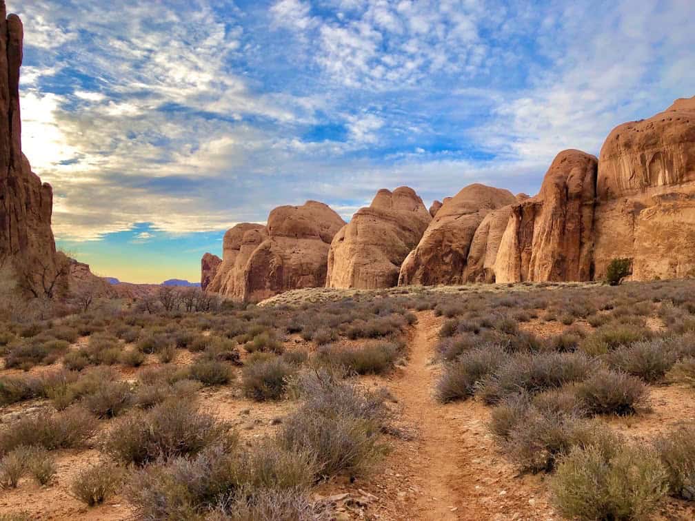 A trail winding through the Moab desert