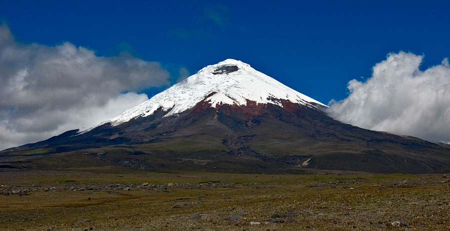 Cotopaxi volcano rising above the Ecuadorian páramo