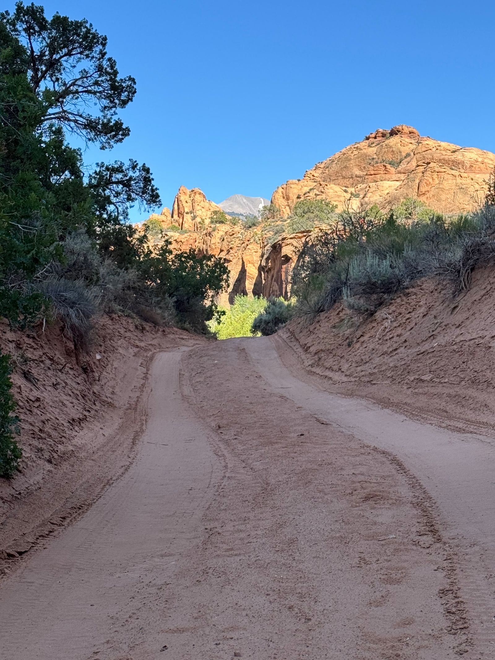 The Trail Was Very Defined, and Then It Wasn't